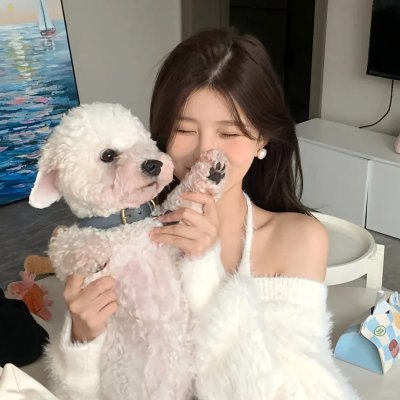 椿之庭 在线观看封面